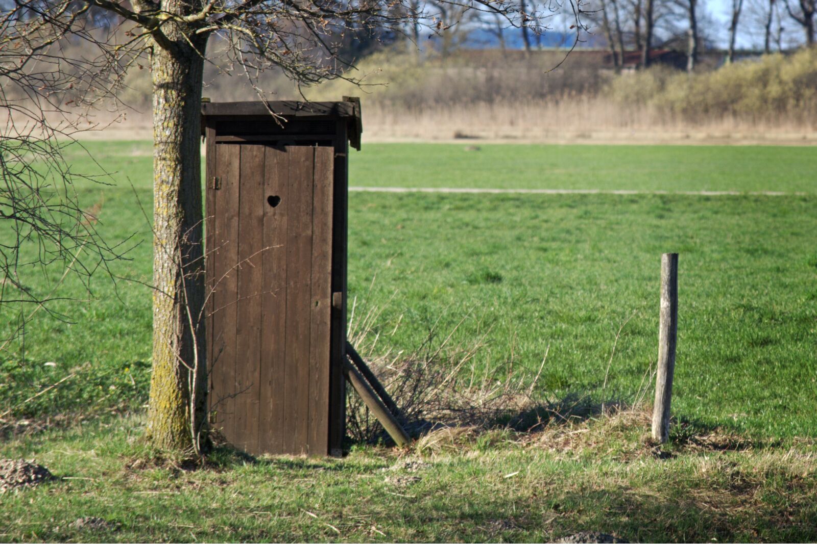 55.0-200.0mm f/4.0-f/5.6 sample photo. Toilet, nature, meadow photography