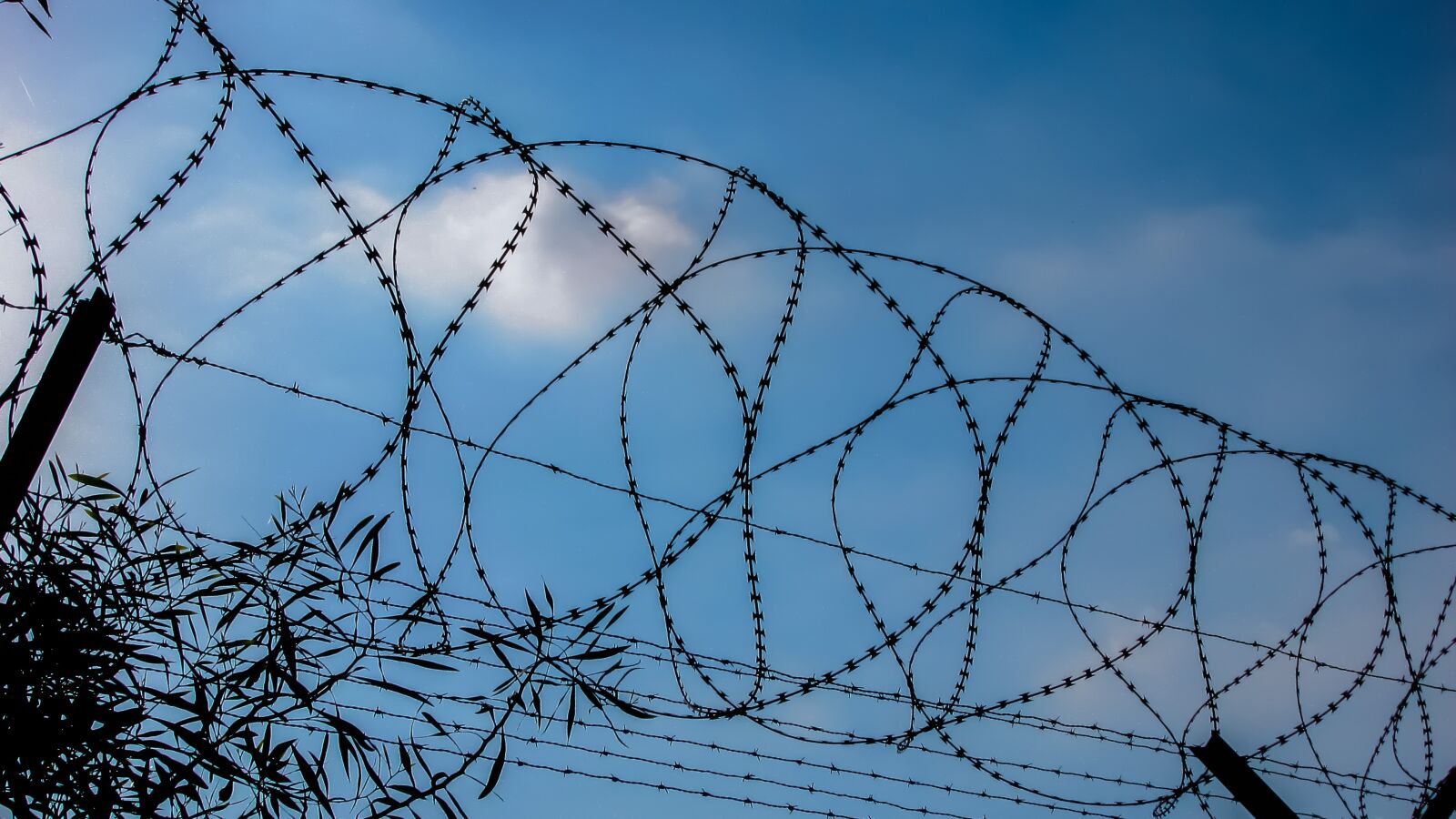 Canon PowerShot SX400 IS sample photo. Wire, fence, metal photography