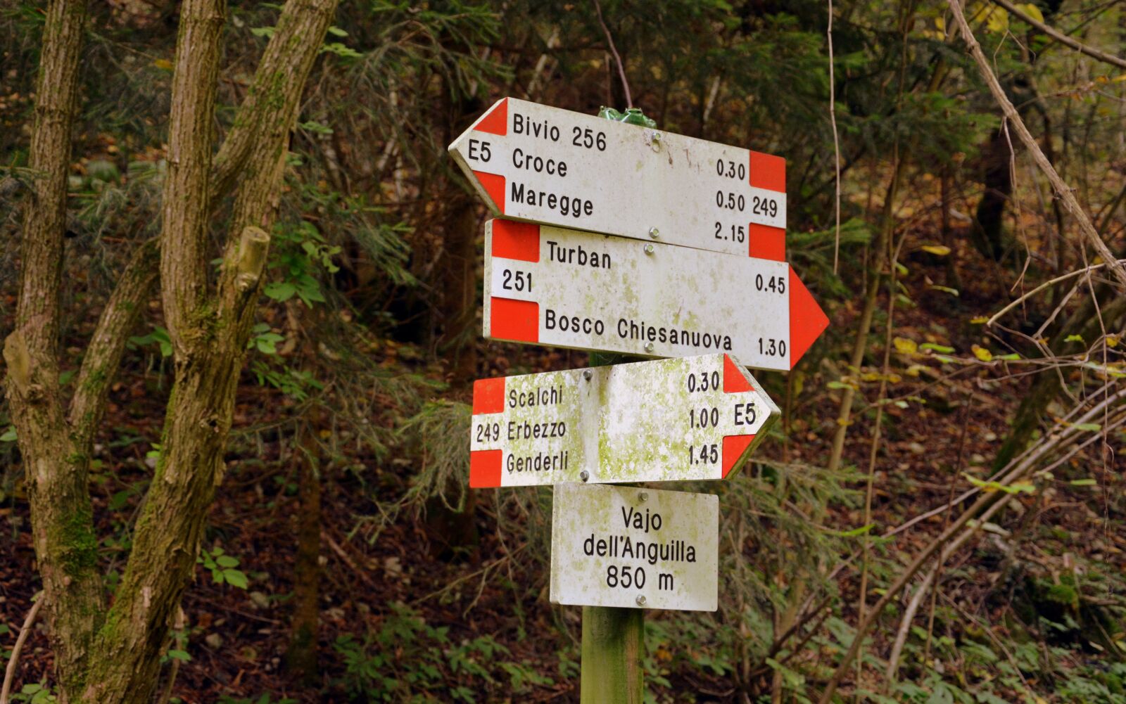 Nikon D7100 sample photo. Signal, indications, excursion photography