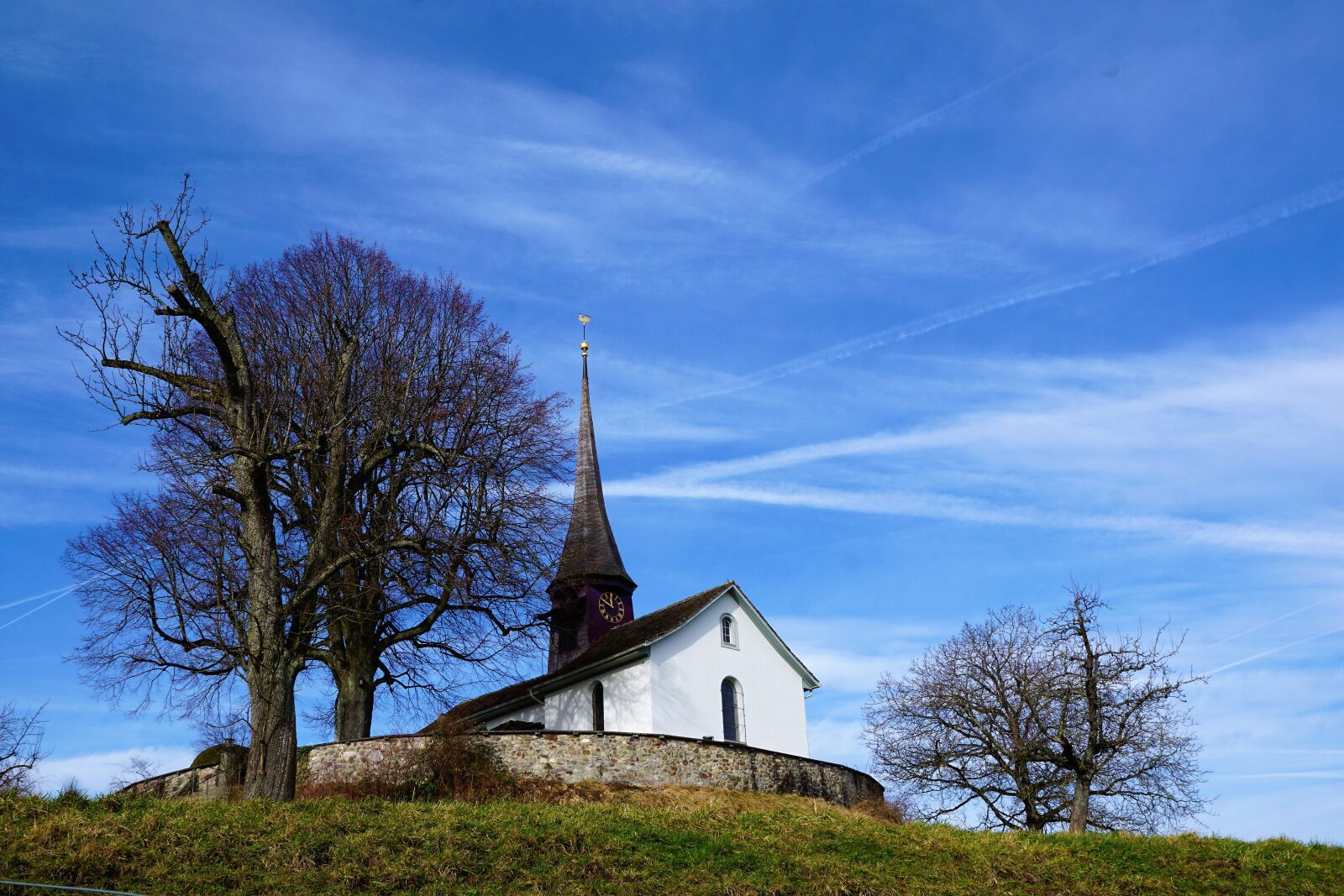 Sony ILCA-77M2 + Sony DT 16-50mm F2.8 SSM sample photo. Sky, tree, landscape photography
