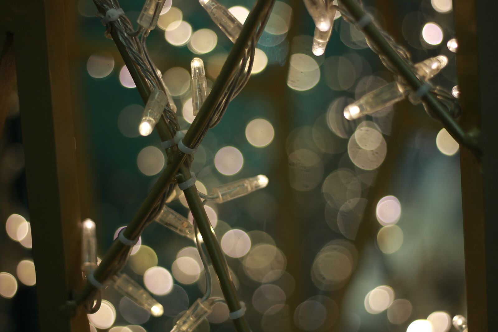Canon EF 50mm F1.8 STM sample photo. Fairy lights, bright, light photography