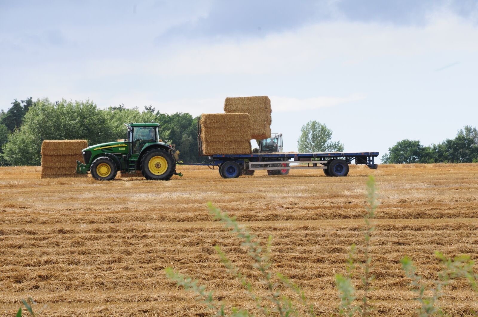 Nikon D300S sample photo. Tractor, agriculture, tractors photography
