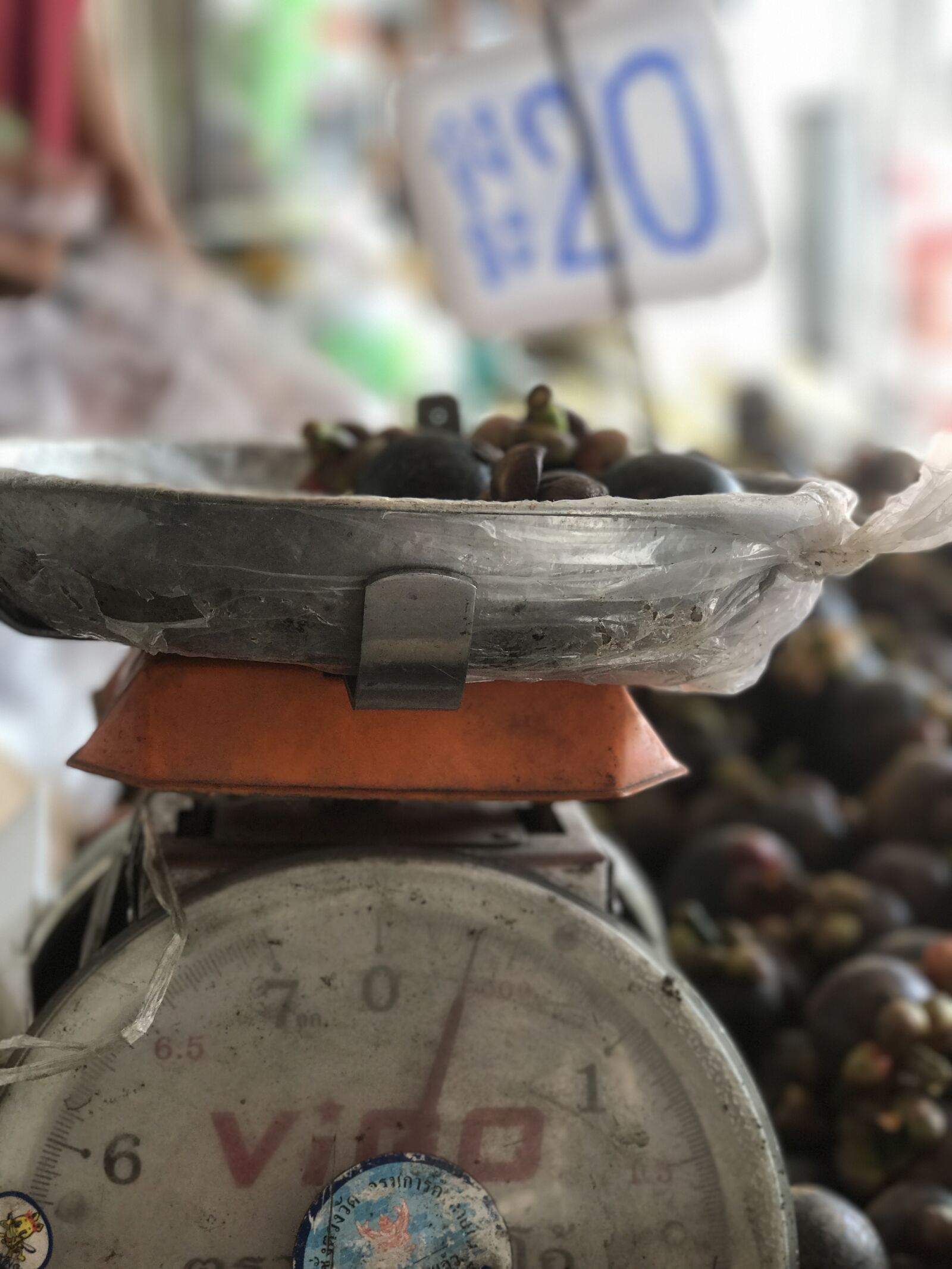 iPhone 7 Plus back dual camera 6.6mm f/2.8 sample photo