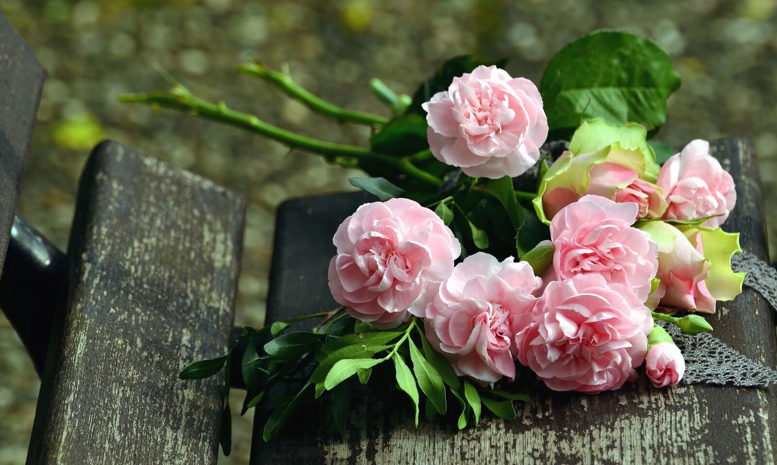 Nikon D5100 sample photo. Rose, still life, bouquet photography