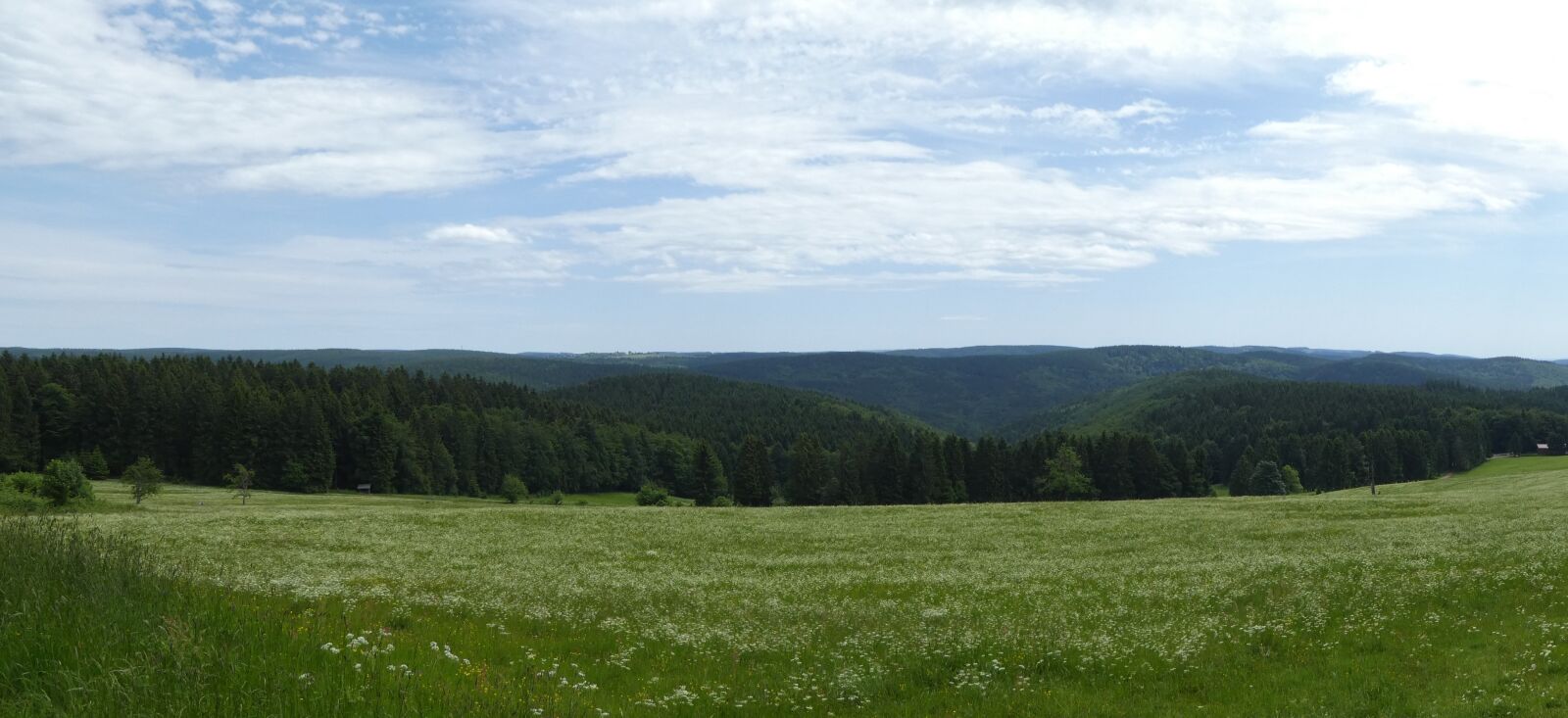 Panasonic DMC-TZ81 sample photo. Thuringian forest, summer, meadow photography
