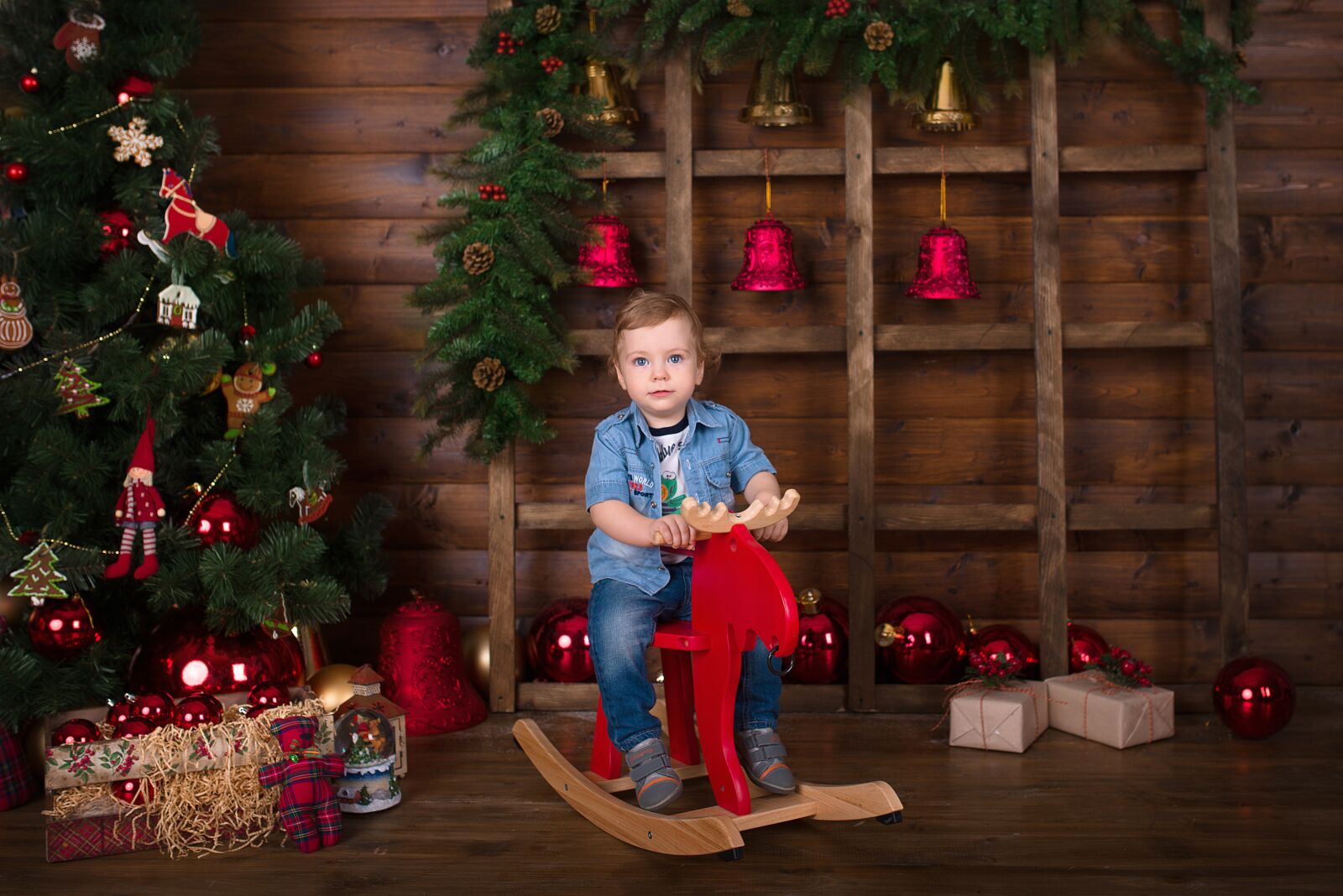 Nikon D800 sample photo. New year's eve, small photography