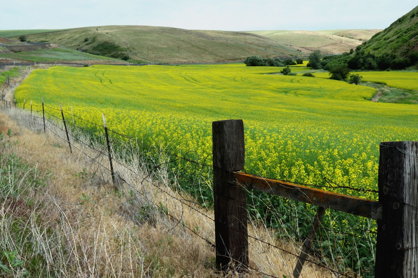 Canon EOS 200D (EOS Rebel SL2 / EOS Kiss X9) sample photo. Farm, fence, meadow photography
