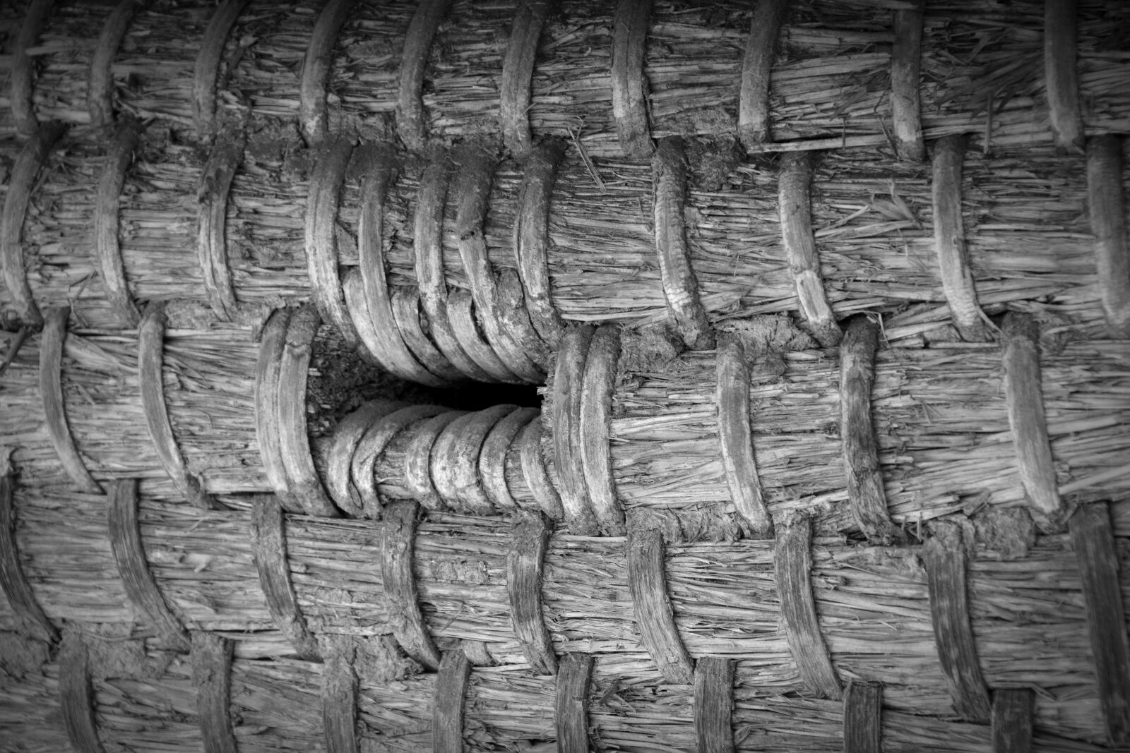 Nikon D5200 sample photo. Hive, honey, beehive photography