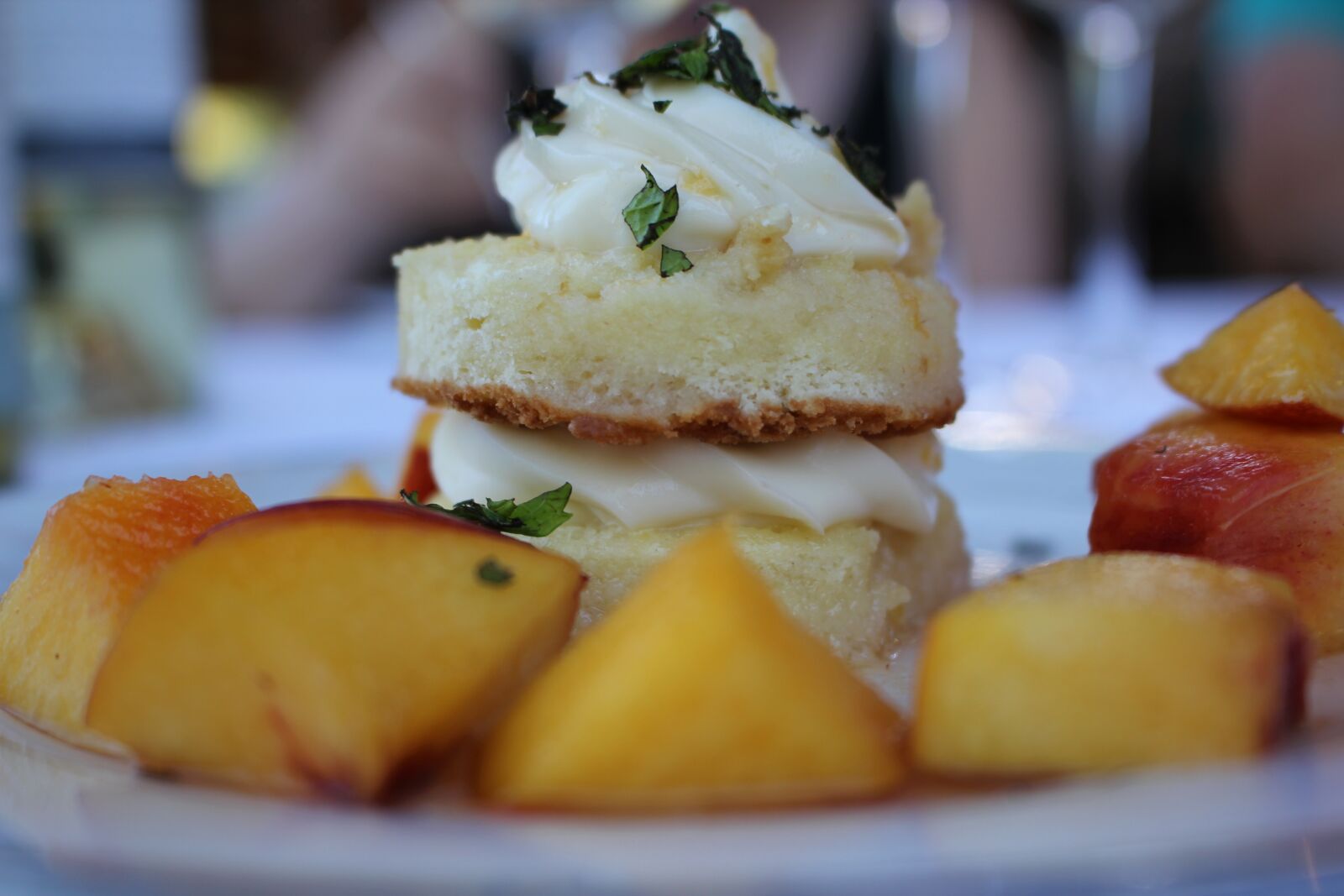 Canon EOS 550D (EOS Rebel T2i / EOS Kiss X4) sample photo. Dessert, whipping cream, cake photography