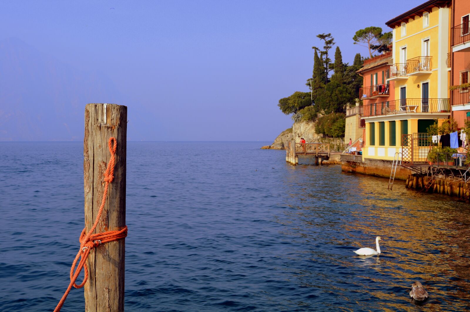 Nikon D7100 sample photo. Lake, mooring, swan photography