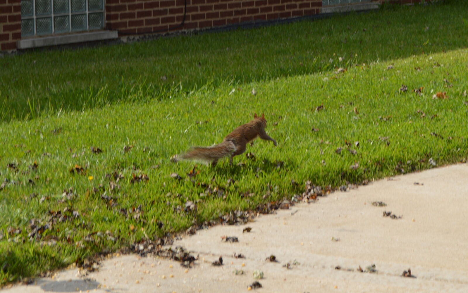 Nikon D3200 sample photo