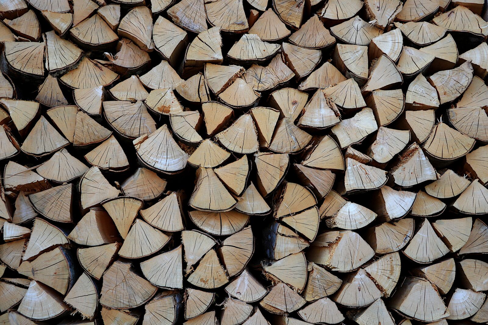 Canon PowerShot G1 X Mark III sample photo. Timber, logs, firewood photography
