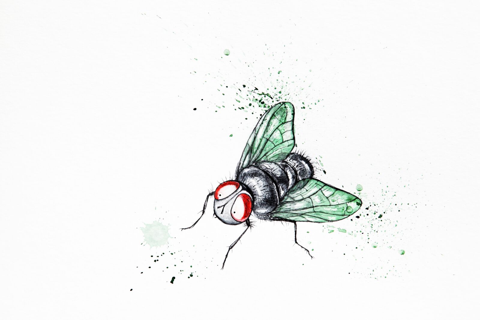 Canon EOS 5D Mark II sample photo. Funny, cute, fly photography