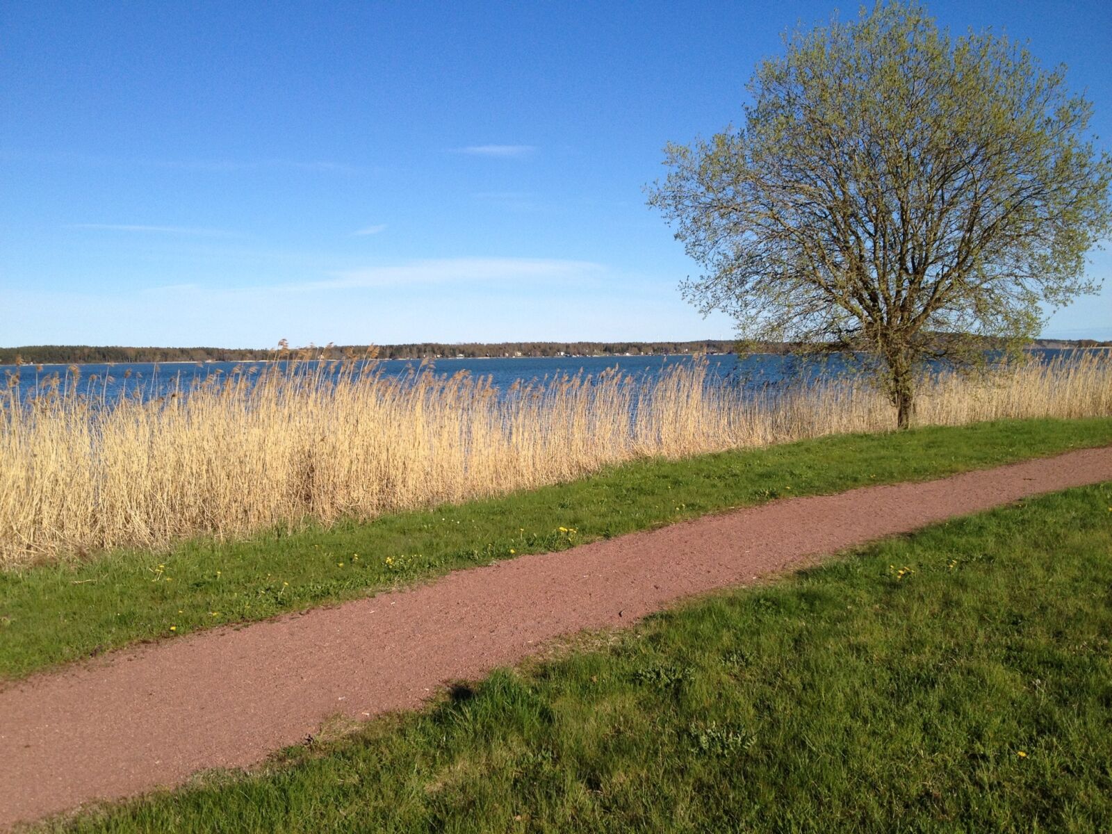 Apple iPhone 4S sample photo. Nature, path, landscape photography