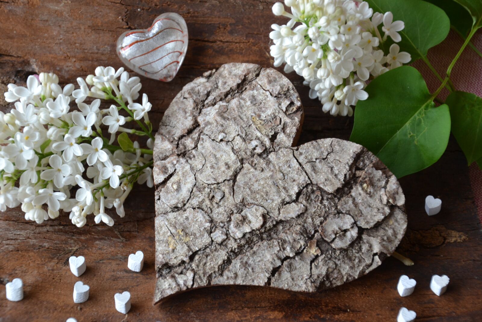 Nikon D3100 sample photo. Heart, symbol, heart shape photography