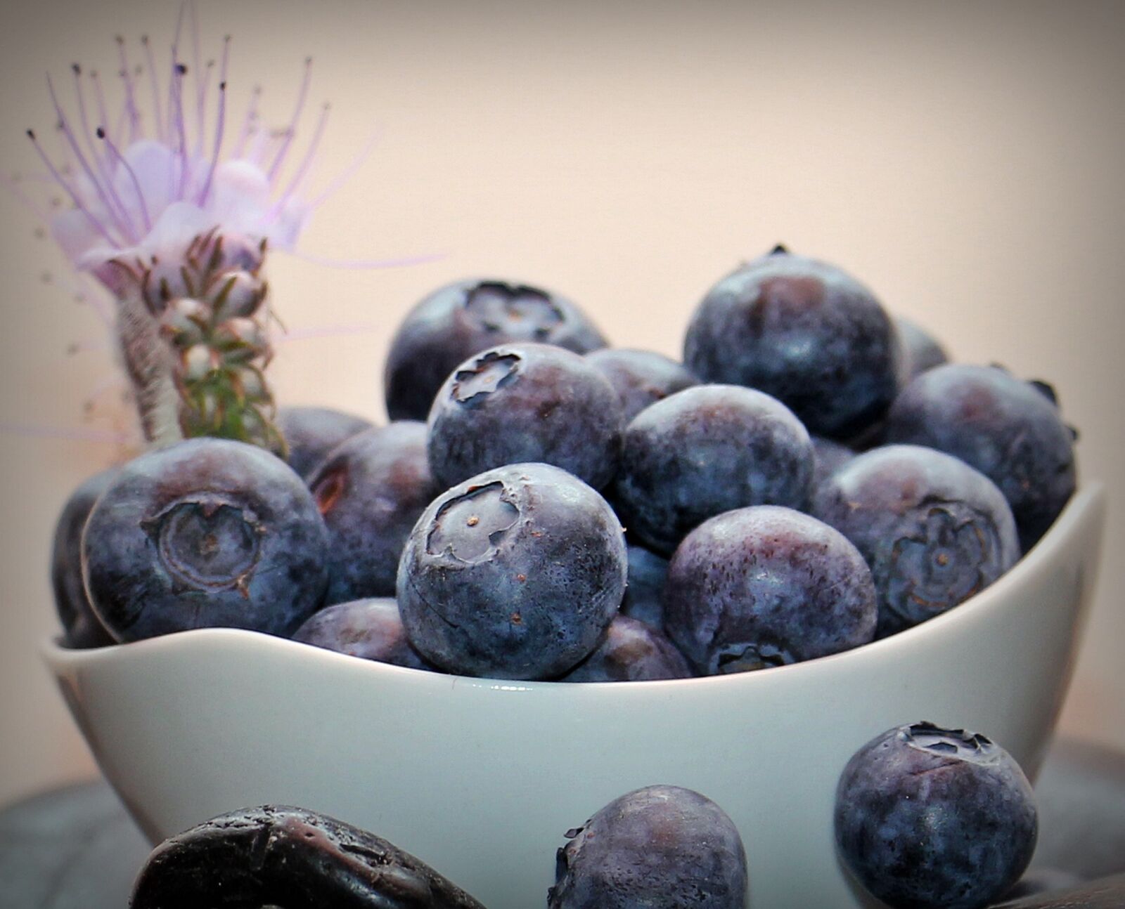 Canon EOS 550D (EOS Rebel T2i / EOS Kiss X4) sample photo. Blueberries, fruits, fruit photography