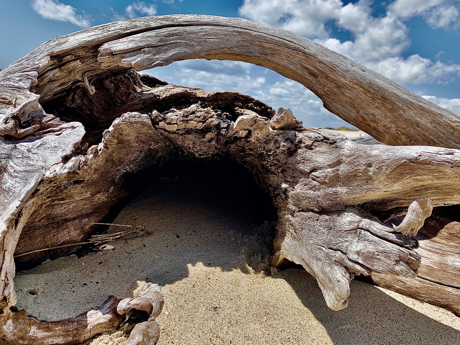 Apple iPhone XR sample photo. Driftwood, sky, sand photography