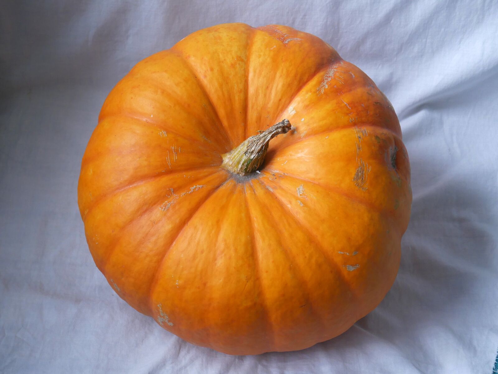 Panasonic Lumix DMC-G7 sample photo. Pumpkin, halloween, autumn photography