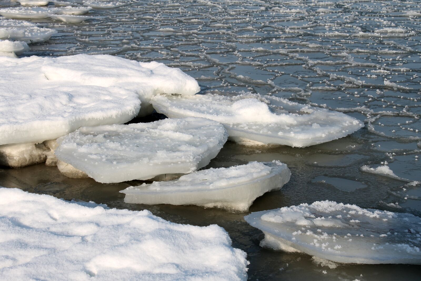 Canon EOS 1100D (EOS Rebel T3 / EOS Kiss X50) sample photo. Baltic sea in winter photography