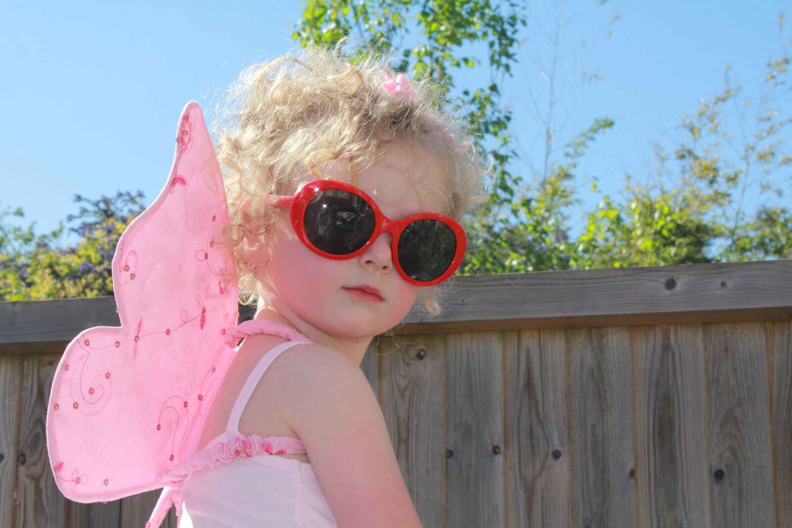 Canon EOS 550D (EOS Rebel T2i / EOS Kiss X4) sample photo. Sun glasses, fairy, butterfly photography