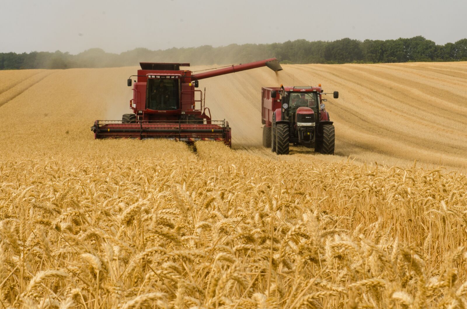 Nikon D7000 sample photo. Harvester, tractor, wheat photography