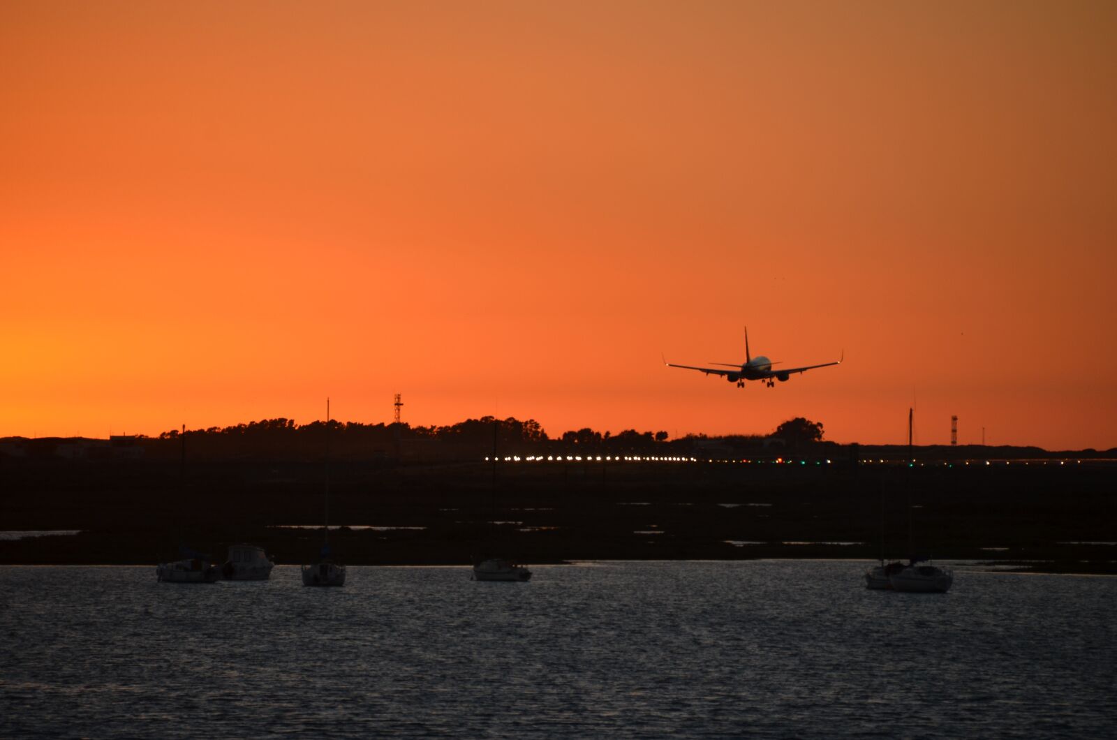 Nikon D5100 sample photo. Landing, evening, flying photography