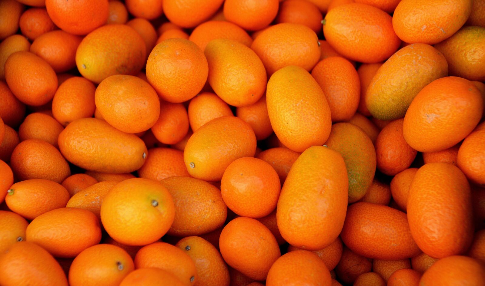 Nikon D3200 sample photo. Fruit, orange, kumquat photography