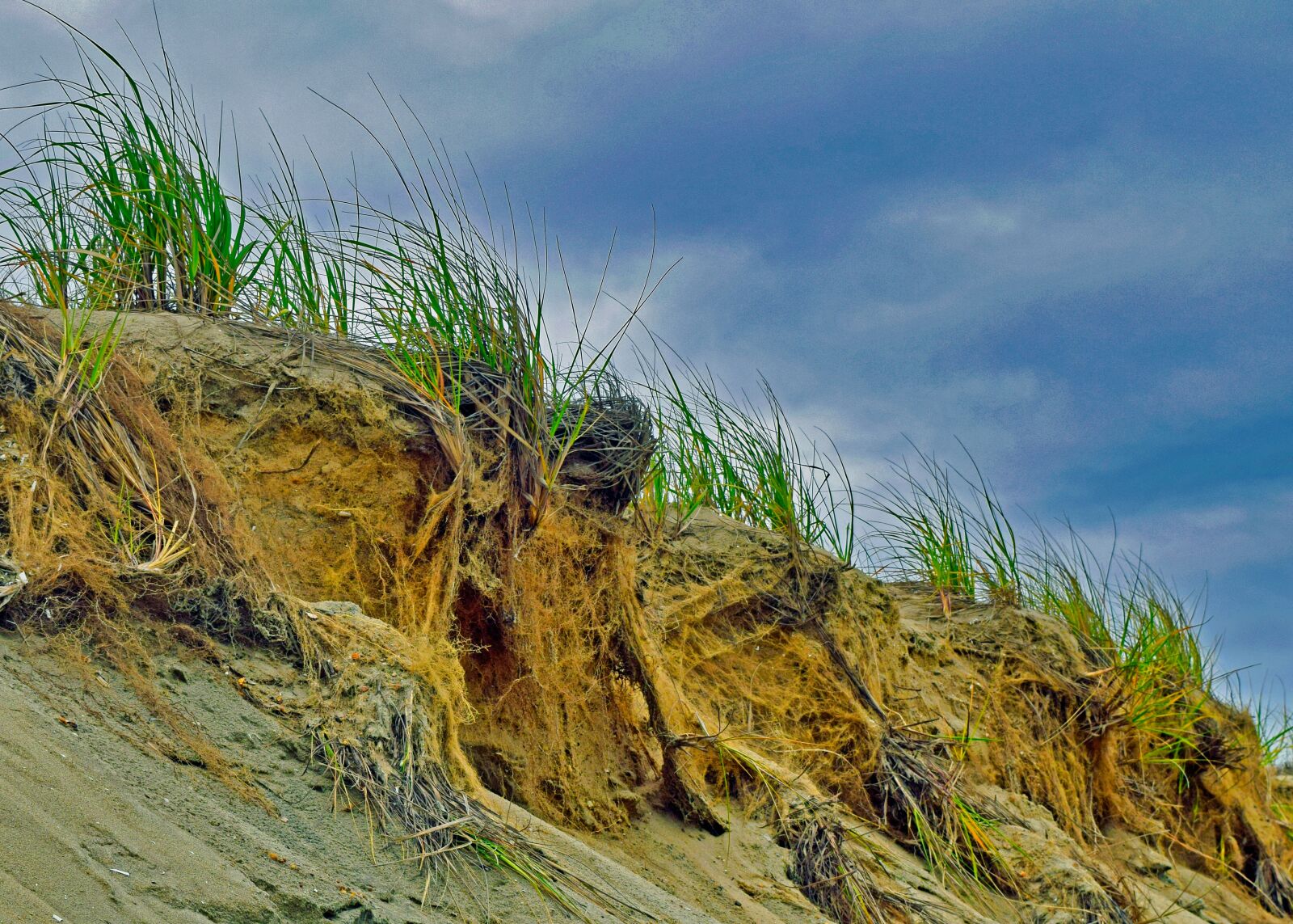 Nikon D3300 sample photo. Sand, dune, landscape photography