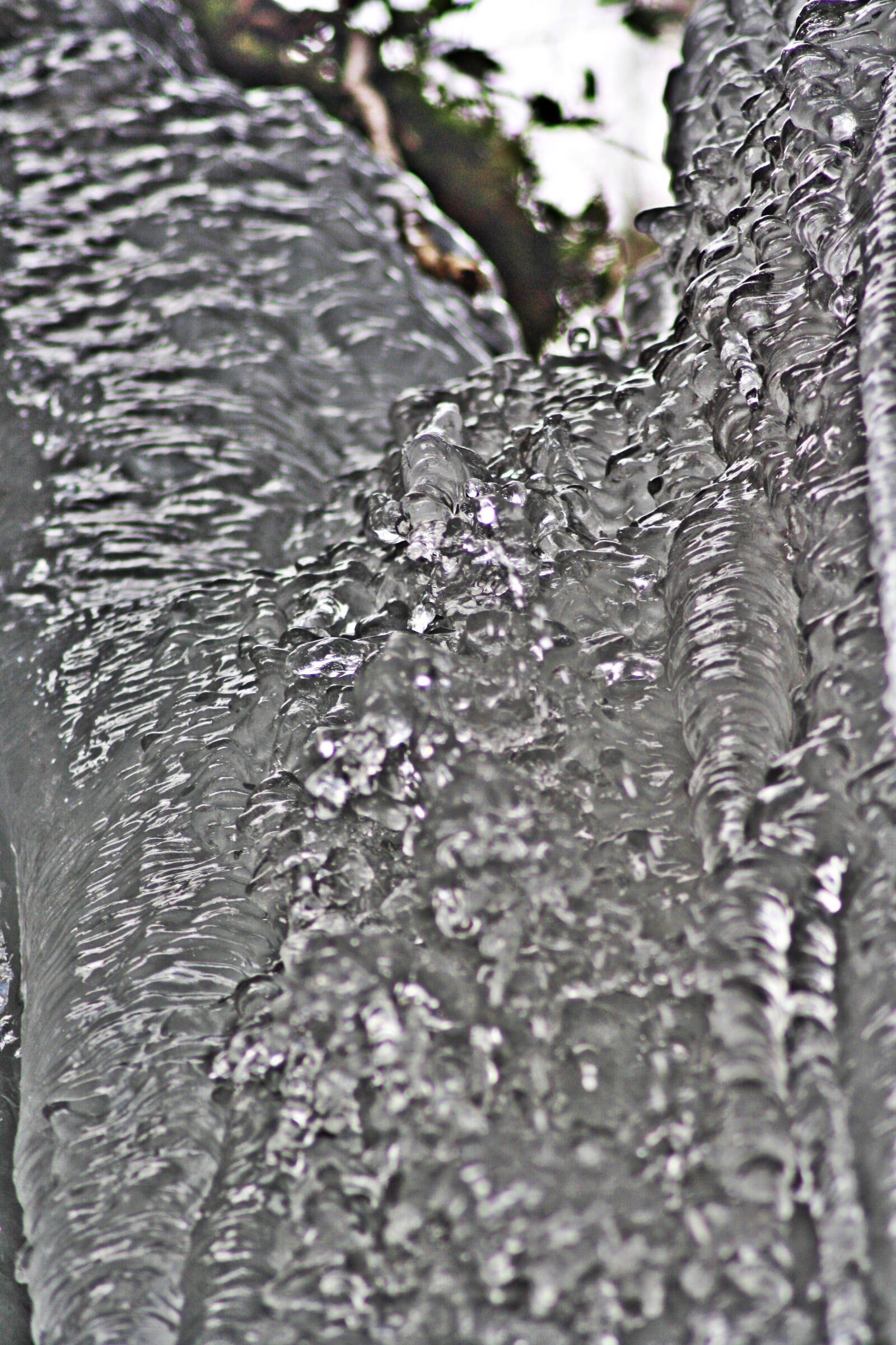 Canon EOS 1000D (EOS Digital Rebel XS / EOS Kiss F) sample photo. Ice, winter, palatine photography