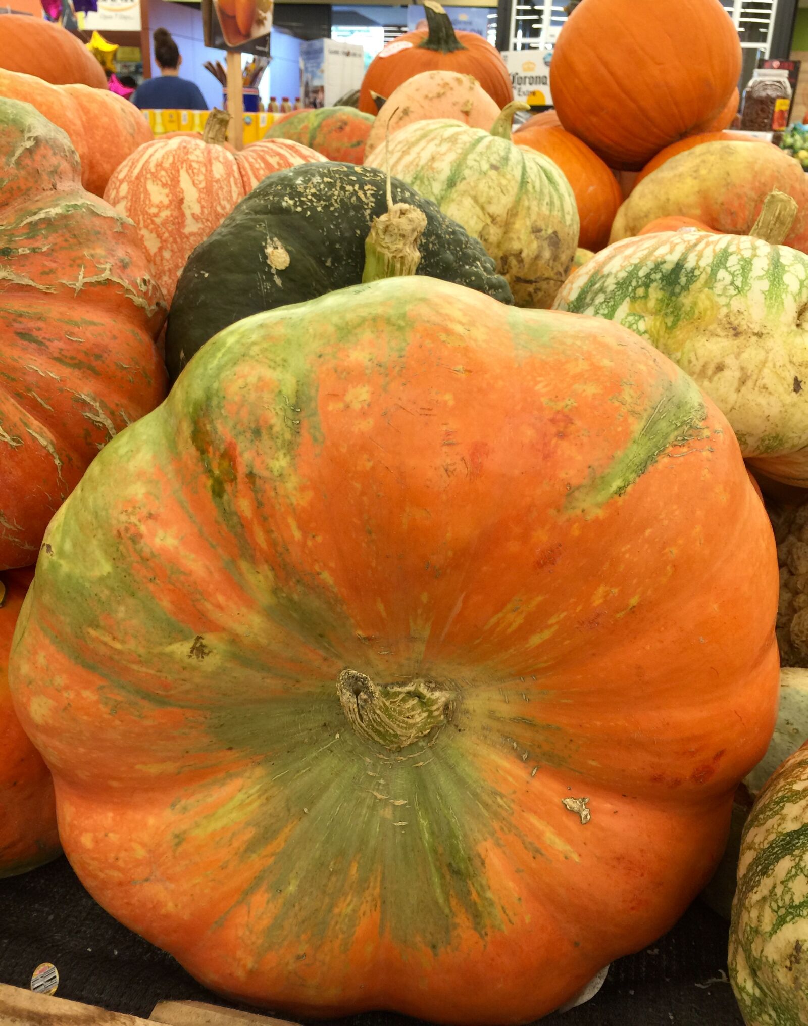iPhone 6 Plus back camera 4.15mm f/2.2 sample photo. Autumn, decoration, halloween, harvest photography