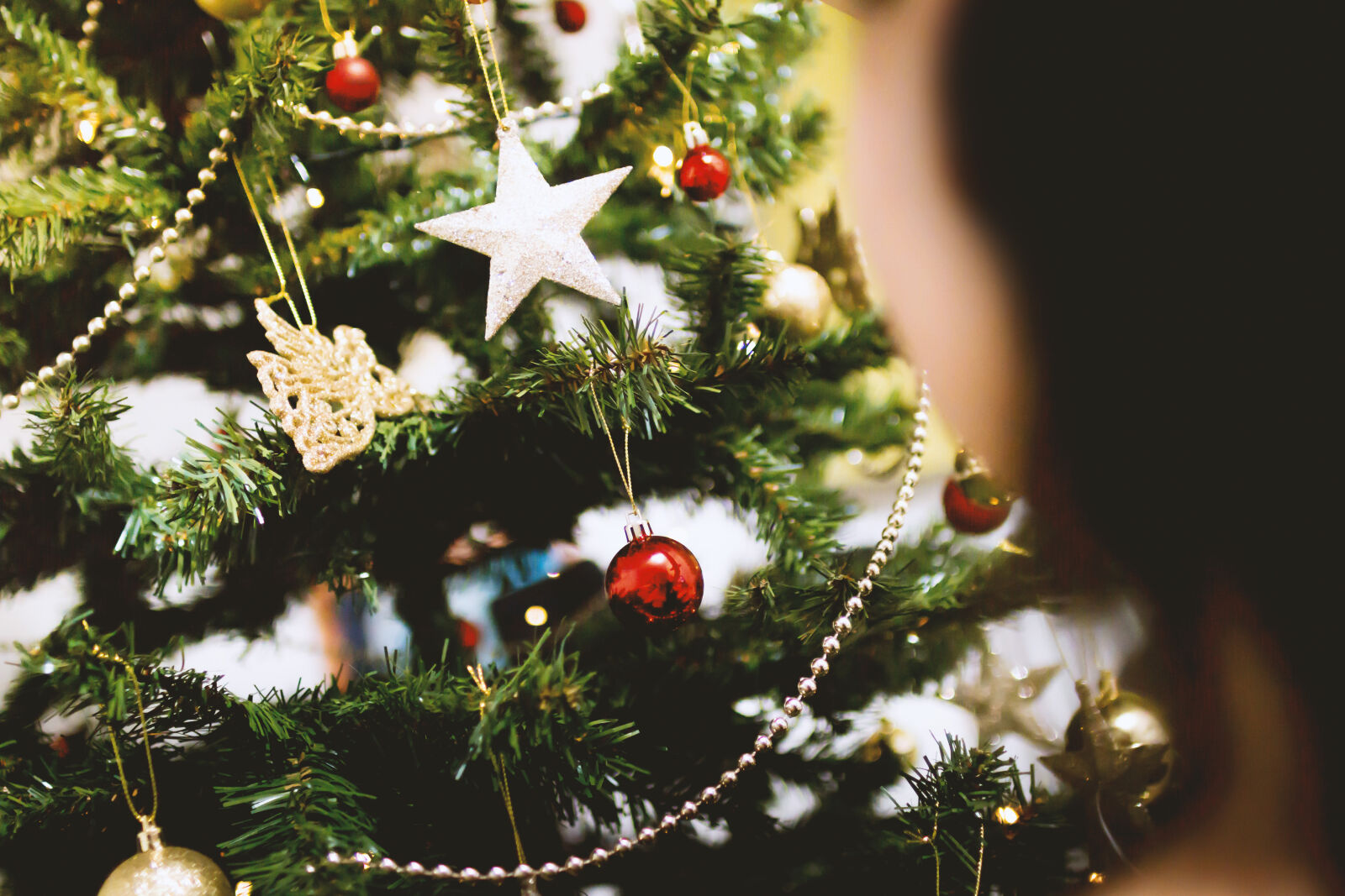 Canon EOS 70D + Sigma 30mm F1.4 EX DC HSM sample photo. Blur, branch, celebration, christmas photography