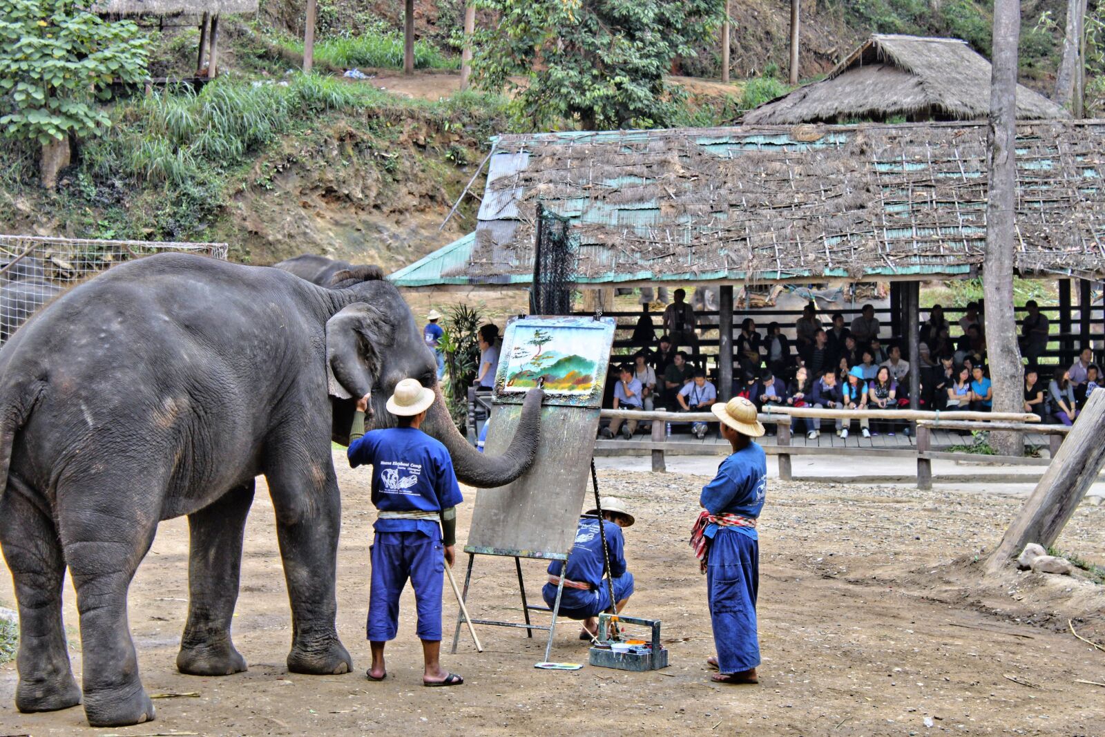 Canon EOS 500D (EOS Rebel T1i / EOS Kiss X3) sample photo. Elephant, artist, thailand photography