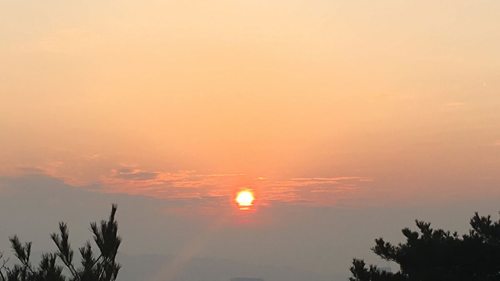 iPhone SE back camera 4.15mm f/2.2 sample photo. Sunrise, seoul, korea photography