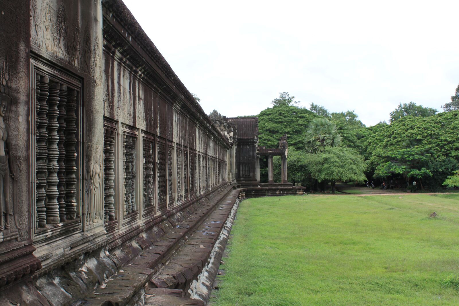 Canon EOS 500D (EOS Rebel T1i / EOS Kiss X3) sample photo. Angkor wat, green, grass photography