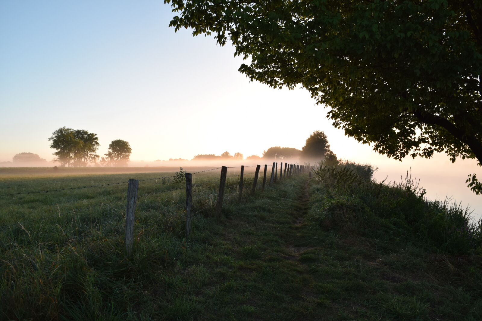 Nikon D3300 sample photo. Mist, landscape, river photography
