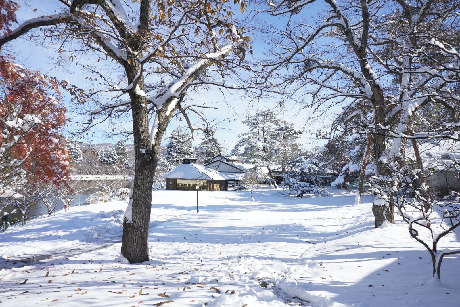 Sony a6000 sample photo. Japan, north, snow photography