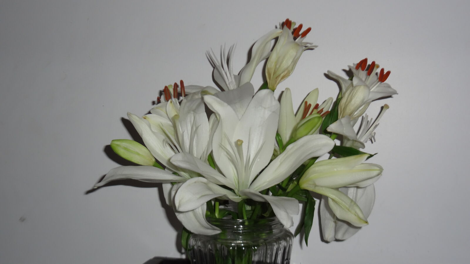Sony Cyber-shot DSC-WX50 sample photo