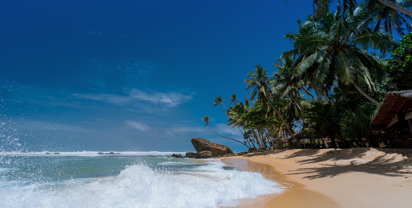Sony a7S II + Voigtlander SUPER WIDE-HELIAR 15mm F4.5 III sample photo. Beach, coconut trees, idyllic photography