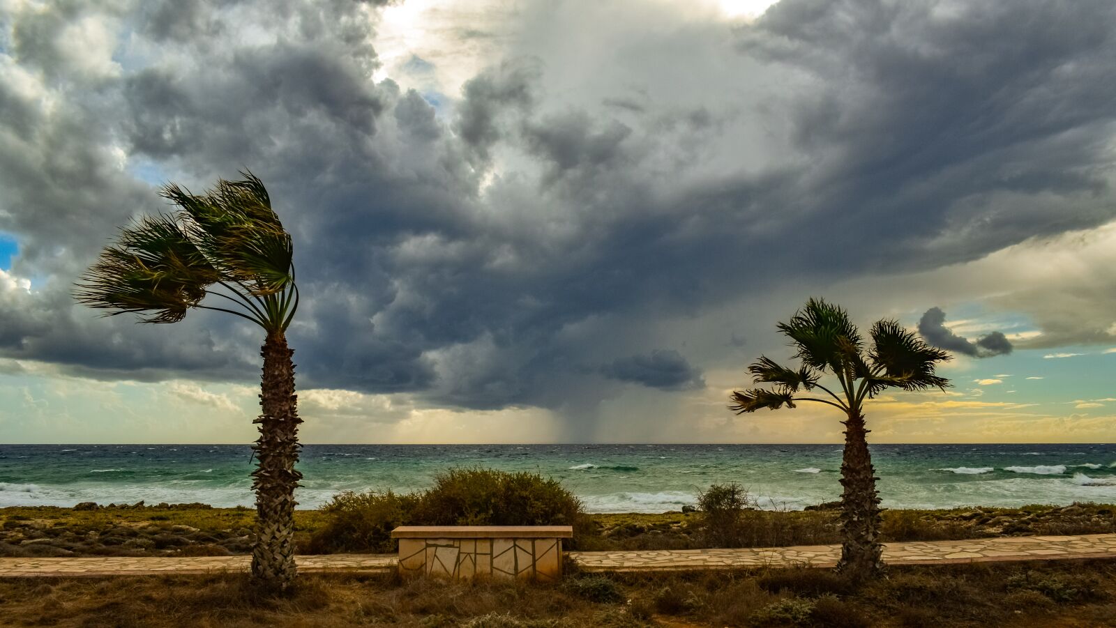 Nikon D3300 sample photo. Palm trees, seaside, nature photography