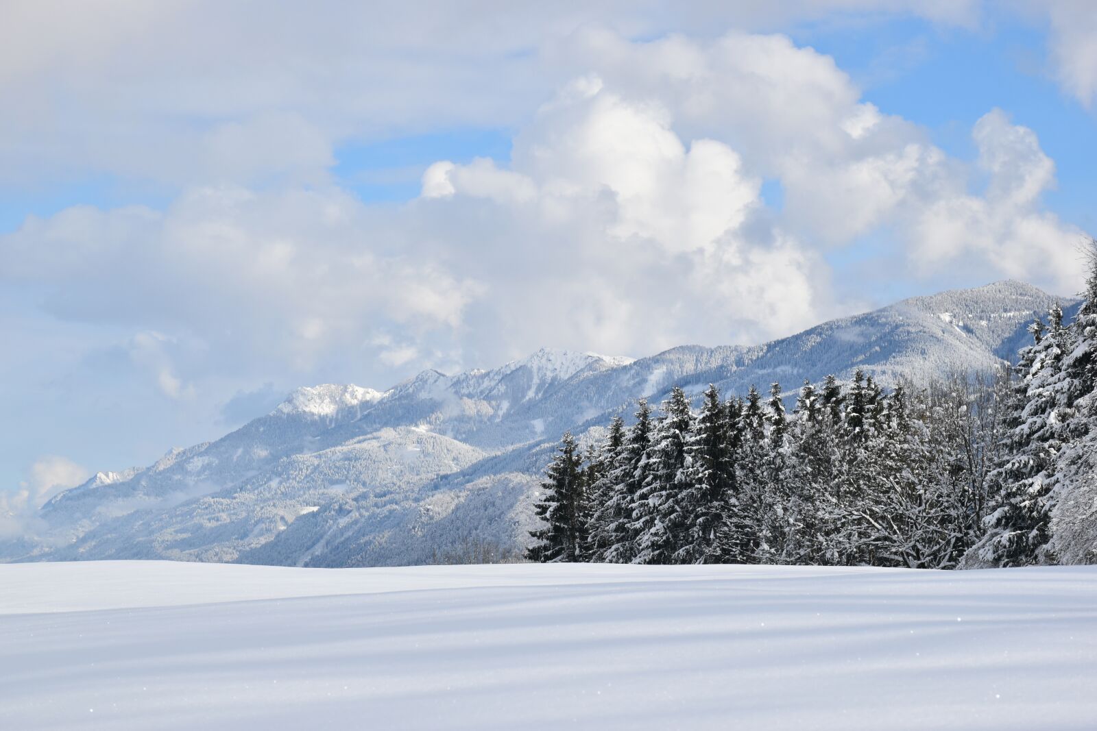 Nikon D5500 sample photo. Winter, snow, snowy photography