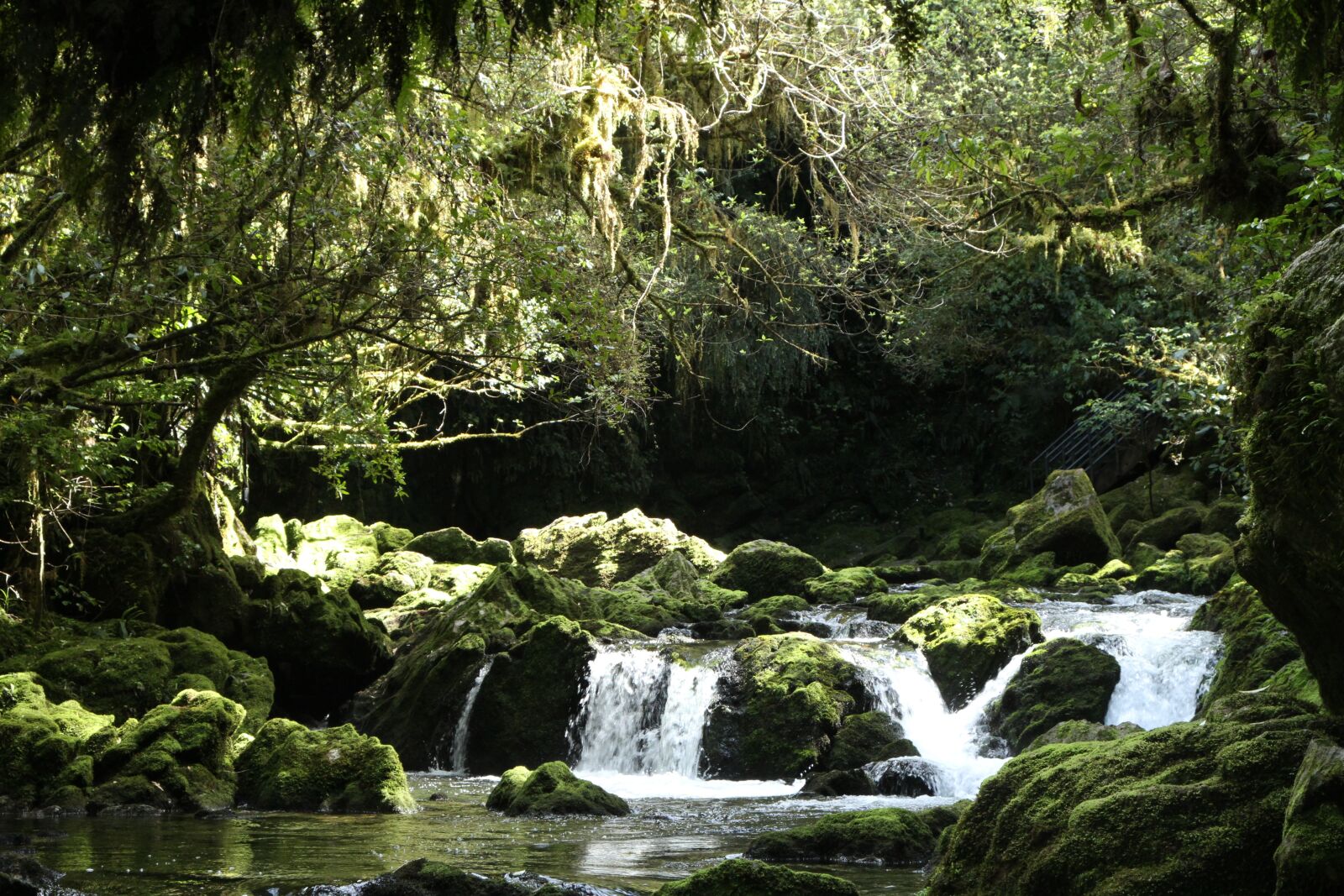 Canon EOS 7D sample photo. New zealand, river, bush photography