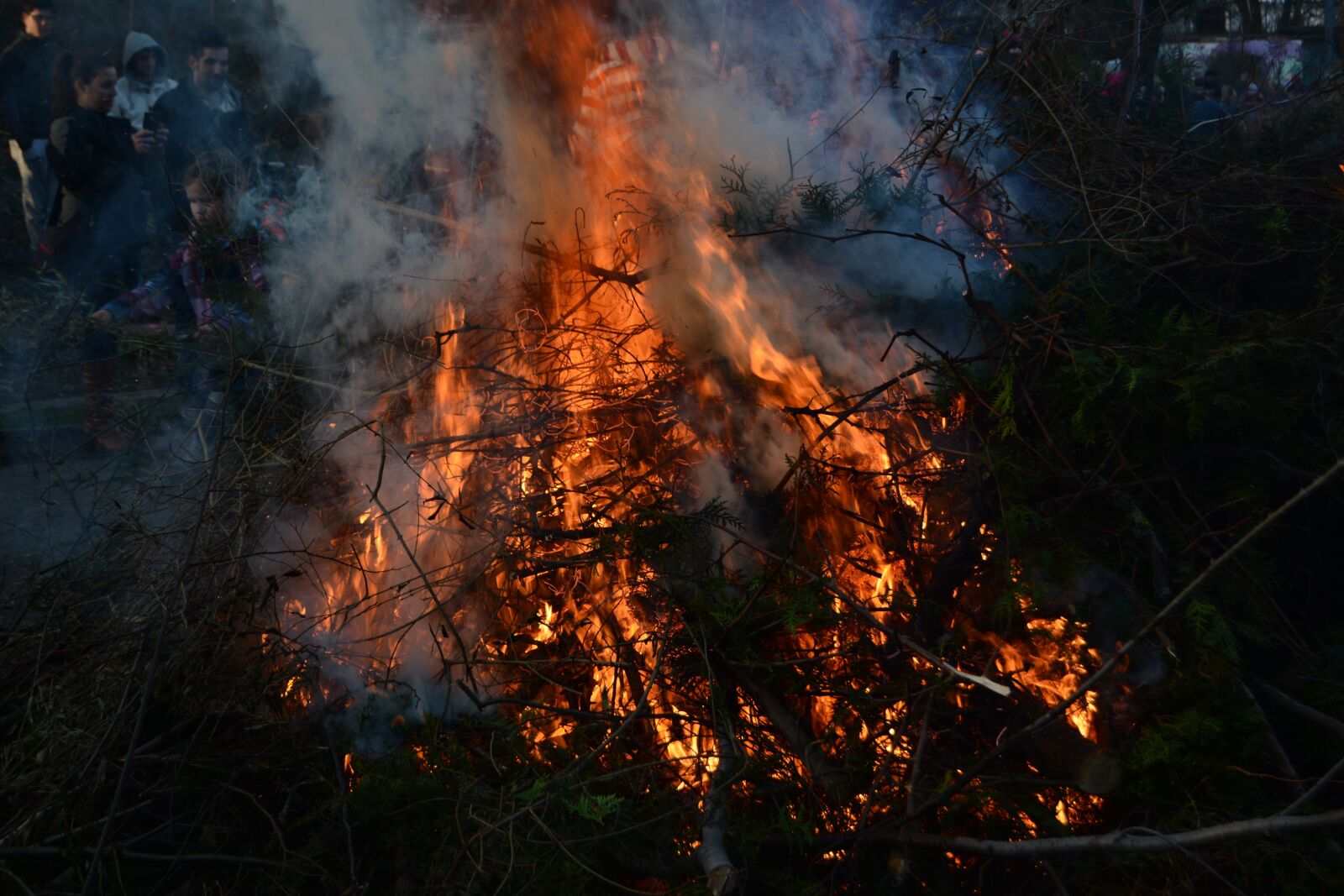 Nikon D5200 sample photo. Easter fire, branches, leaves photography
