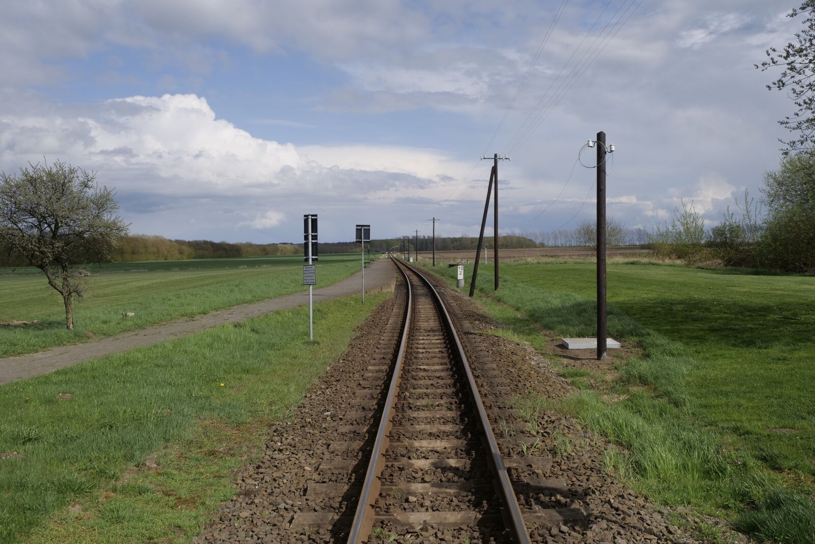 Panasonic Lumix DC-G9 sample photo. Molli, railway line, grass photography