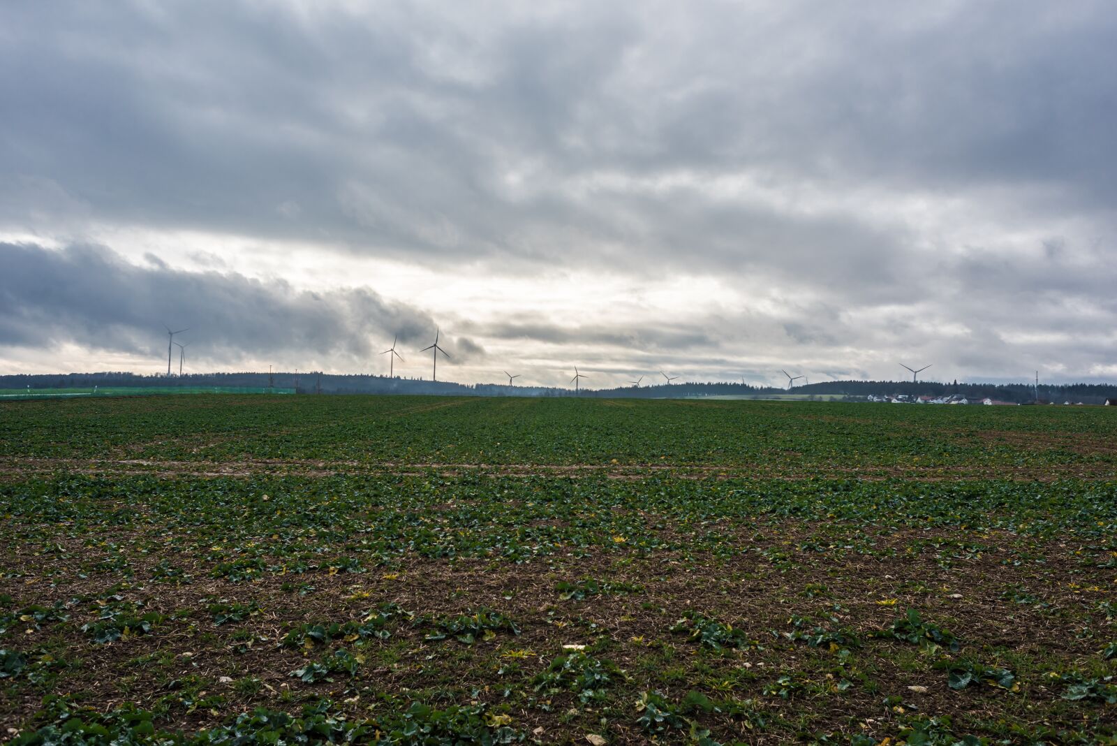 Nikon D810 sample photo. Landscape, outdoor, nature photography