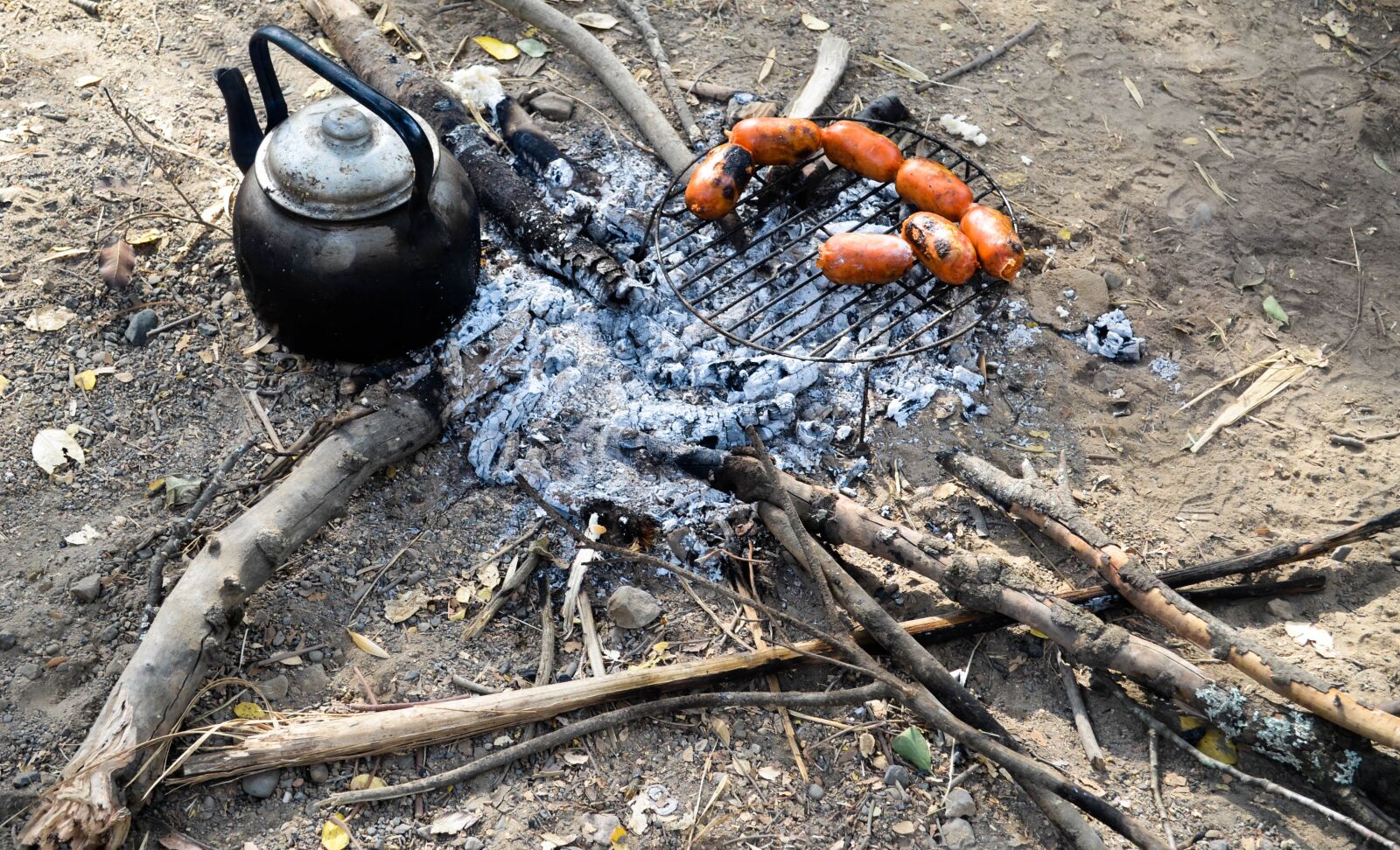Nikon D5100 sample photo. Tea, lena, fire photography