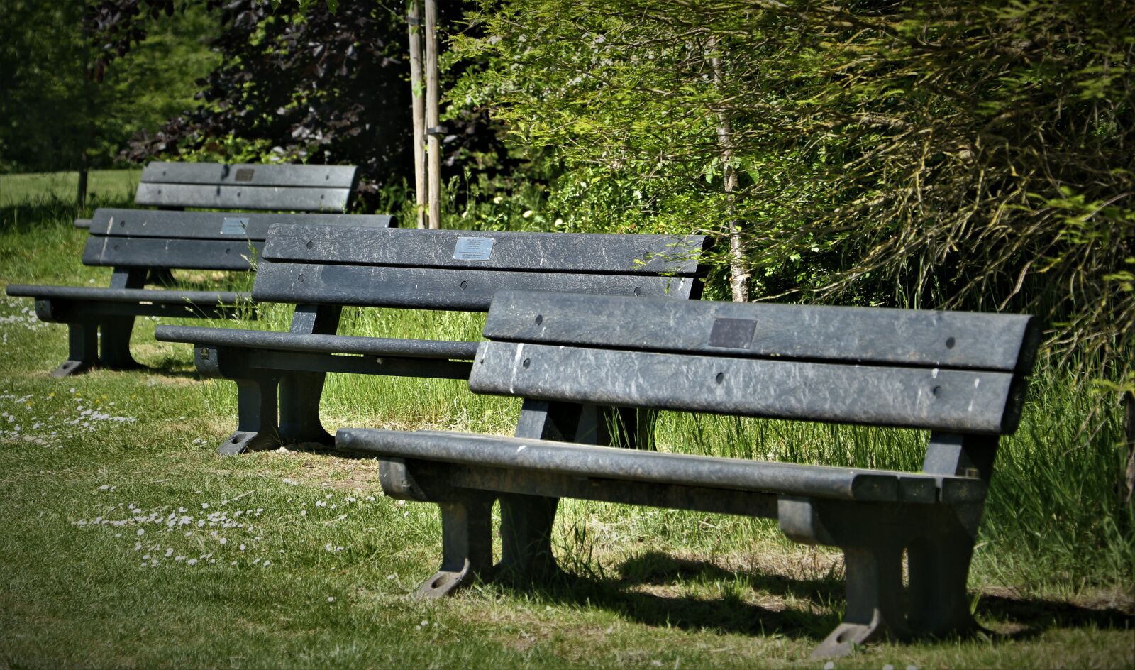 Canon EOS 7D Mark II + Canon EF-S 18-135mm F3.5-5.6 IS STM sample photo. Benches, resting place, sit photography