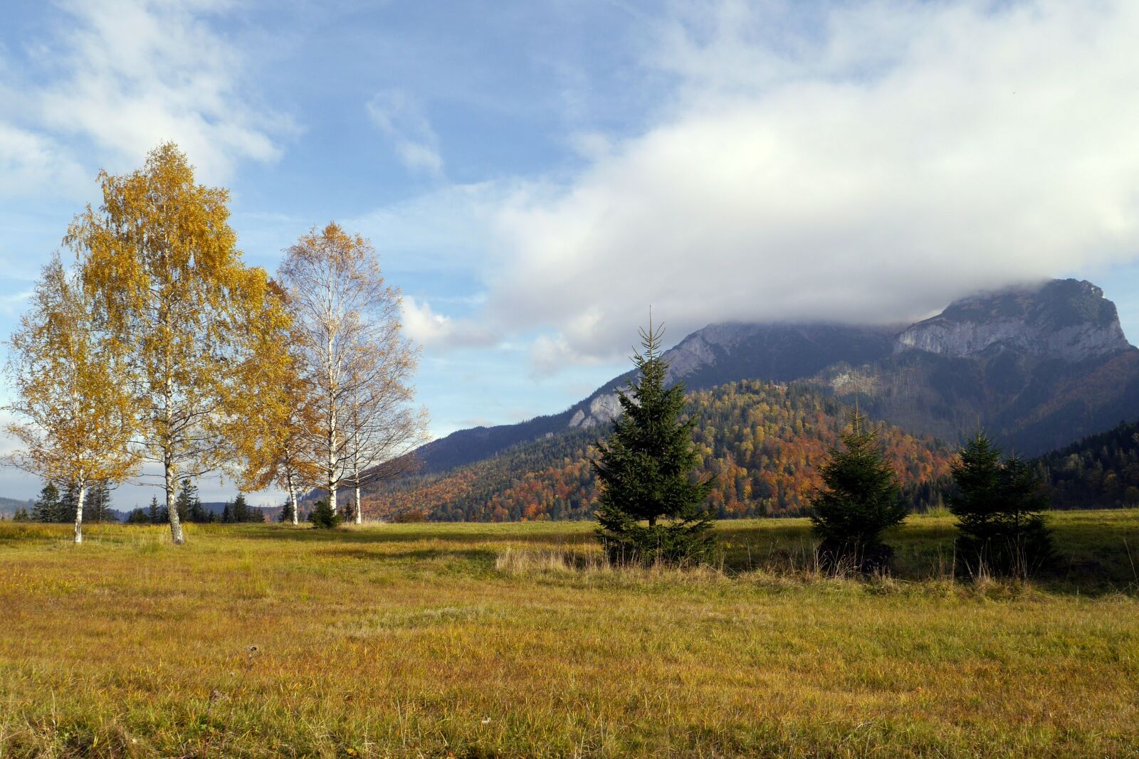 Panasonic Lumix DMC-G6 sample photo. Slovakia, country, nature photography