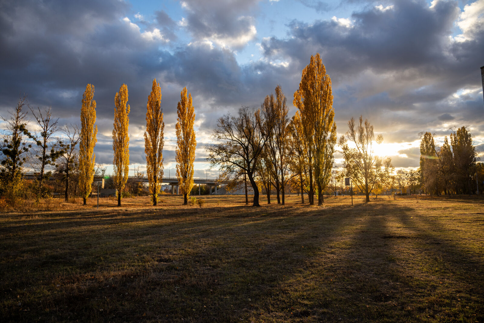 Nikon D750 sample photo