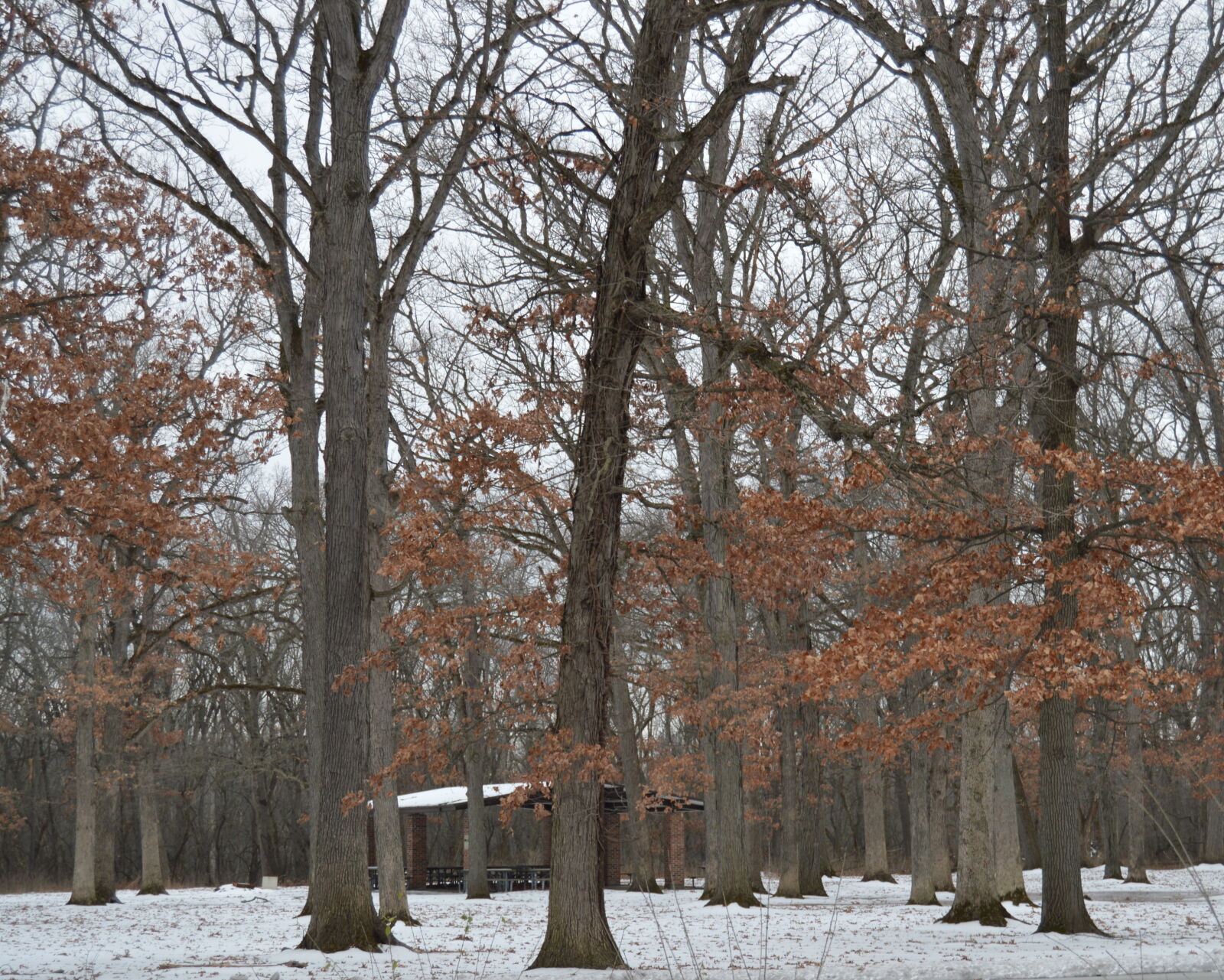 Nikon D3200 sample photo