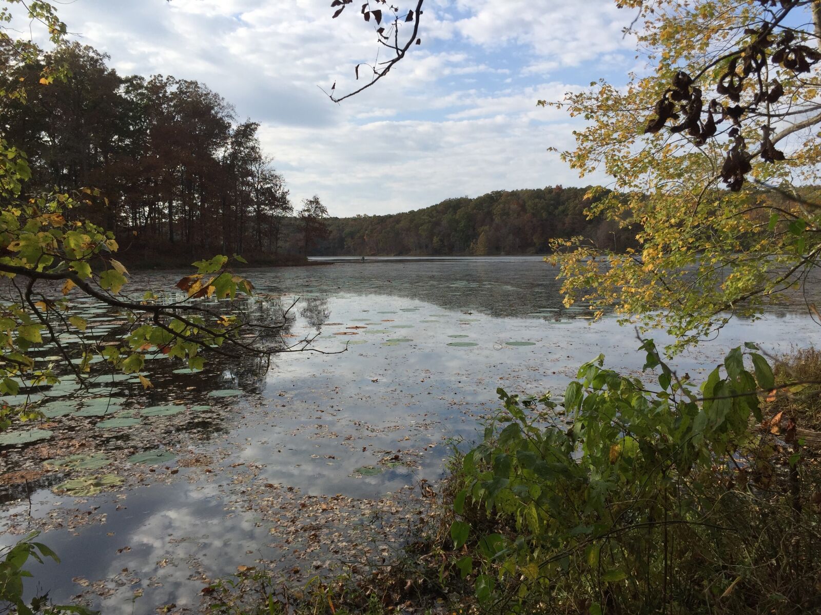 Apple iPhone 6 sample photo. Kentucky, land between the photography